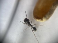 IMG_3323.jpeg