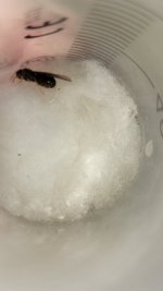 20250523_175808.jpg 20250523_175808.jpg