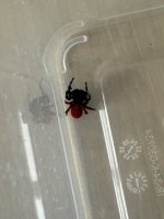 IMG_0269.jpeg