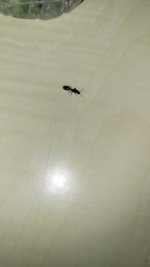 20250523_212548.jpg