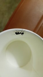 IMG20250523214530.jpg