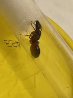 IMG_0117.jpeg