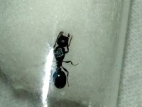 IMG_20250524_093733_699.jpg