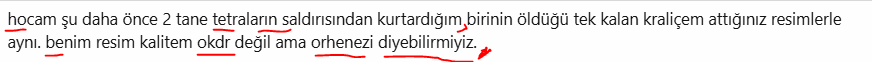 1748090114931.png