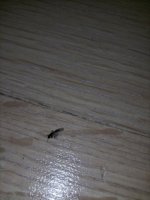 IMG20250524170546.jpg