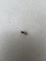IMG_4778.jpeg
