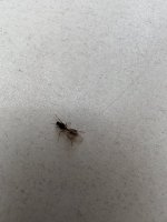 IMG_4777.jpeg