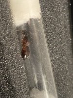 IMG_0133.jpeg