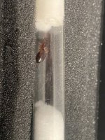 IMG_0132.jpeg