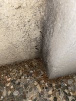IMG_2107.jpeg