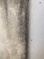 IMG_2109.jpeg