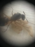 IMG_6542.jpeg