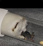 IMG_0639.jpeg