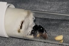 IMG_0638.jpeg