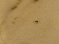 IMG_20250524_210157_5.jpg