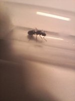 20250524_211335.jpg