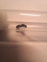 20250524_211321.jpg