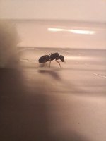20250524_211319.jpg
