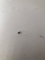 AE792562-D99A-4921-9B66-0D9815C648F0.jpeg