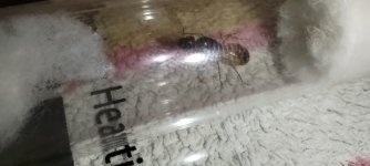 1000048254.jpg