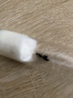 IMG_0032.jpeg