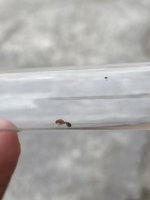IMG_2140.jpeg