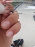 20250525_190229.jpg