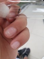 20250525_190231.jpg