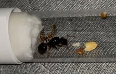 IMG_0630.jpeg