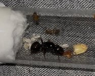 IMG_0629.jpeg