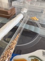 IMG_0632.jpeg
