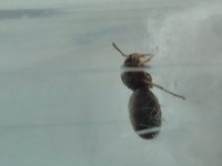 IMG_20250526_171013.jpg