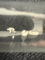 IMG_4812.jpeg