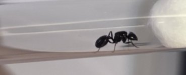 IMG_1741.jpeg