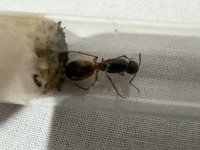 IMG_4719.jpeg