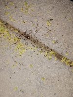 IMG_20250526_201055.jpg