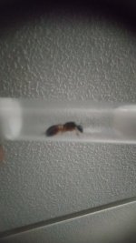IMG_20250526_214556.jpg