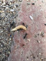 IMG_4830.jpeg