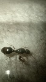 IMG_20250527_184610.jpg