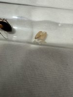 IMG_4863.jpeg
