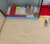 IMG_4876.jpeg