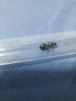 IMG_20250420_222318_341.jpg