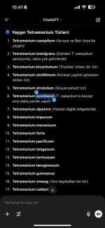 IMG_0696.png