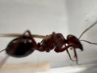 IMG_4894.jpeg