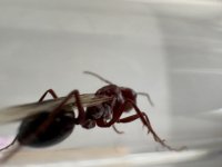 IMG_4892.jpeg