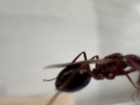 IMG_4893.jpeg