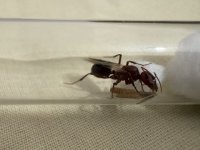 IMG_4900.jpeg