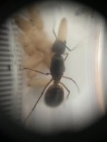IMG_6560.jpeg