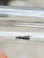20250529_145359.jpg