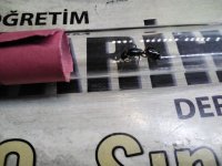 20250529_181443.jpg